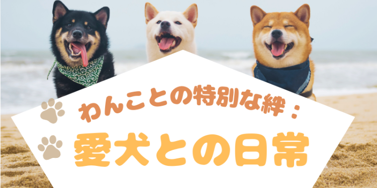 カワイイがいっぱい！ワンダーランド